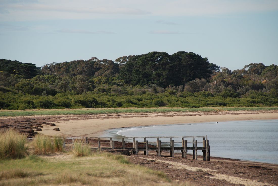 Balnarring Beach